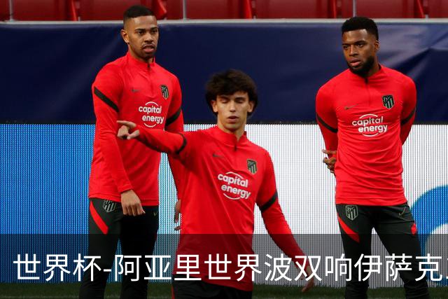 世界杯-阿亚里世界波双响伊萨克1射2传 瑞典5-1突尼斯